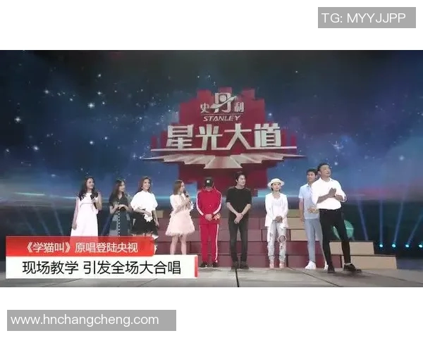 原帅的成长之路：从默默无闻到舞台中央的璀璨星光